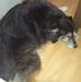 Dee Hickey - Facebook
