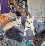 Dee Higgs - Facebook