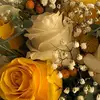Deena Hillman - @deena.hillman - TikTok