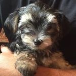 Dee - @deehobson - Instagram