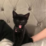 Dee Hogan - @dawn.hogan.142 - Instagram