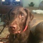 Dee Holden - @dddiver00 - Instagram