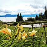 Dee Holder - @cdbythesea - Instagram