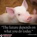 Dorothy Hollinger - Facebook
