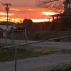 Dee Holmes - @dee.holmes1 - TikTok