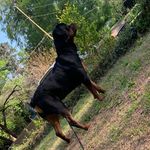 Dee Hood - @dee.hood.98 - Instagram