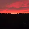 DeedleeBug - @deehouck - TikTok
