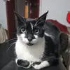 Aldana Aydee Huerta - @aldanaaydeehuerta - TikTok