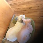 Dee Huff - @deehuffreckord65 - Instagram