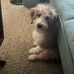 Dee Huff - Facebook