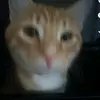 Racerx648 - @deeganhuffman - TikTok