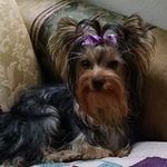Dee Hull - @deehull1 - Instagram