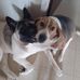 Dee King - Facebook