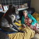 Deana Kirkby - @deekirkby - Instagram