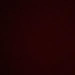Dee Kirk - @myepoch2004 - Instagram