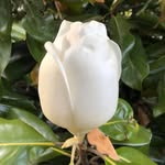 Dee Knapp - @deeknapp - Instagram