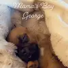 MacKenzie Deere - @mackenziedeere - TikTok