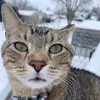 mãłłorÿ dêê - @mallorydee - TikTok