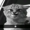 ADEMOLA - @deemars07 - TikTok