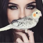 Deema. - @deema.rs - Instagram