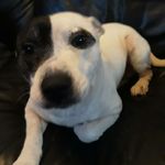 Dee Marshall - @marshalllindley68 - Instagram