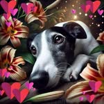 Dee Mason - @demason1973 - Instagram