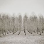 Dee Miles - @herethereyonder - Instagram