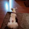 Dee Mitchell - @dee.mitchell2 - TikTok