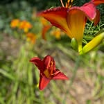 Darian Mizer - @deemizer28 - Instagram
