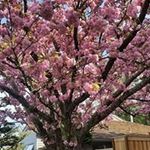 Dee Neal - @dee_tech - Instagram