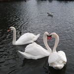 Dee Norton - @dee.norton.982 - Instagram