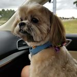 Dee Norton - @deenorton33 - Instagram