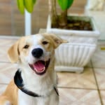 Oswald de Andrade - @oswalddeandradee - Instagram