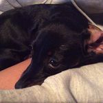 Dee Dee Hillda Sykes Parsons - @deedee12345678910 - Instagram