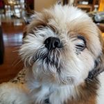 Dee Parsons - @dee.parsons.355 - Instagram