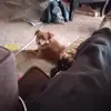 deedeeparsons7 - @deedeeparsons13 - TikTok