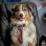Dee-Dee Peck - @cmeredammit - Instagram