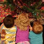 Dee Carol Huffman Potter - @dpotterhouse - Instagram