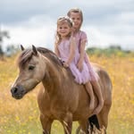 Dee Richardson - @richardson_ponies - Instagram