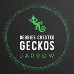 Dee Richardson - @debbies_crested_geckos - Instagram