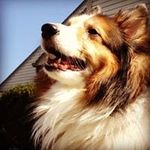 Dee Robinson - @deerobin - Instagram
