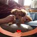 Dee Rodgers - Facebook