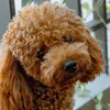 russelledee - @russelledee - TikTok