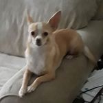 Dee Singleton - @soldiergirl1213 - Instagram
