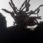 Dee Singleton - @donel.singleton - Instagram