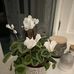 Dee Smith - Facebook