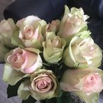 Dee Stuart - @deestuart1 - Instagram