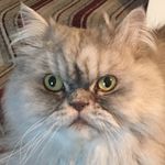 Dee Tanner - @deetanner4 - Instagram