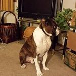 Dee Vaughn - @deevaughn5 - Instagram