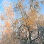 Vermeulen - @de.esther.vermeulen - Instagram